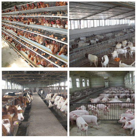 深圳市長隆科技有限公司